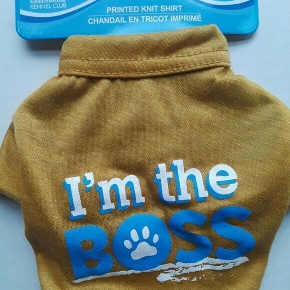 Printed knit Dog  T-shirt‎  Greenbrier "I M the bos - Picture 4 of 4